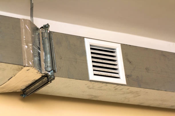Air Duct Mold Removal in Colquitt, GA